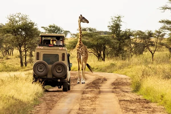 Wochenend-Safari-Reisen für Medizinpraktikanten mit Med Trips