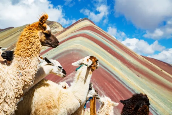 Wochenendtrips mit Med Trips