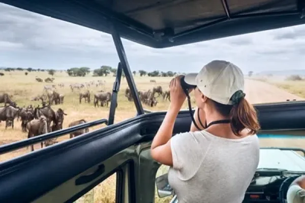 Safari Trip in Tanzania
