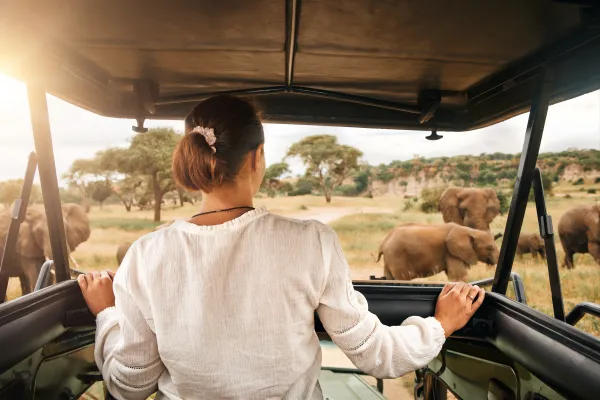 Safari Trip in Kenya with Med Trips
