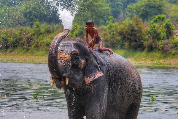 Chitwan Weekend Tour