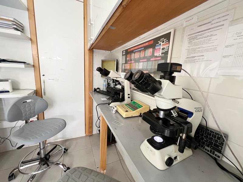 Medical Laboratory Internship in Morocco