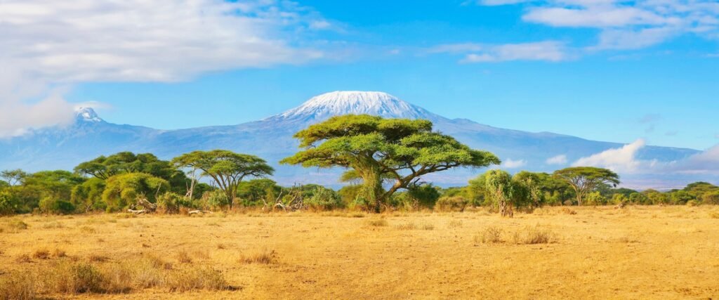 4 Day Tarangire National Park, Serengeti National Park, Ngorongoro Crater Safari