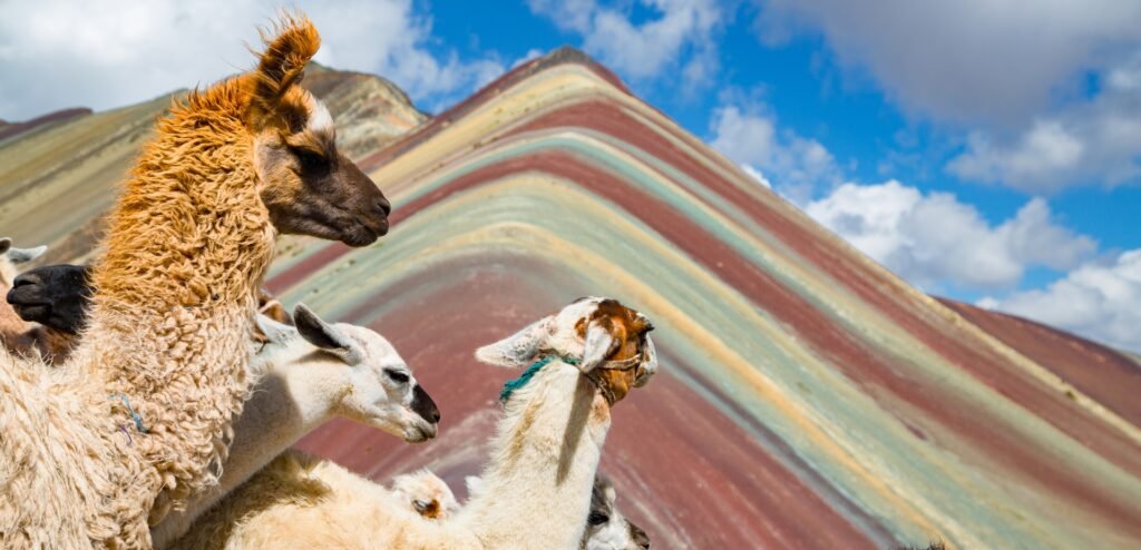 4-Day Cusco, Machu Picchu & Rainbow Mountain Adventure